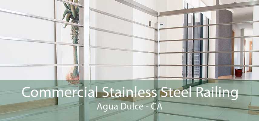 Commercial Stainless Steel Railing Agua Dulce - CA