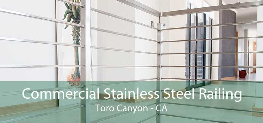 Commercial Stainless Steel Railing Toro Canyon - CA